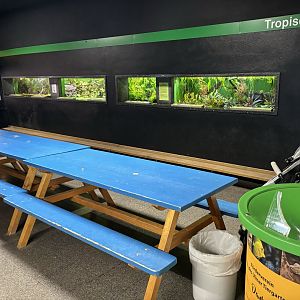 Benches which are a part of the “zoo school”