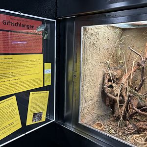 Venomous snake signs and harvest mice enclosure