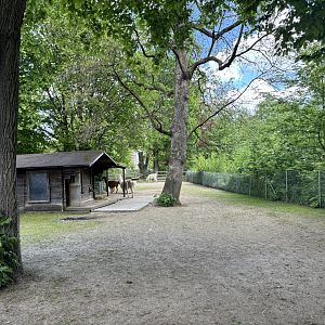 Llama and rhea Enclosure