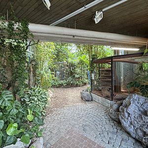Entrance to the tropical zone featuring dwarf mongoose enclosure