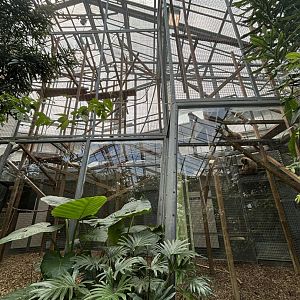 Lar Gibbon Indoor Enclosure