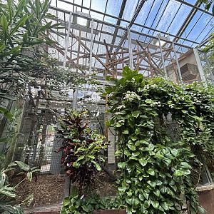 Brown Capuchin Indoor Enclosure