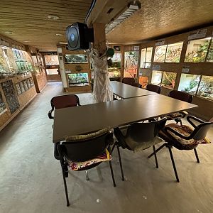 Schildkröten und Reptilien Zoo Neu-Ulm