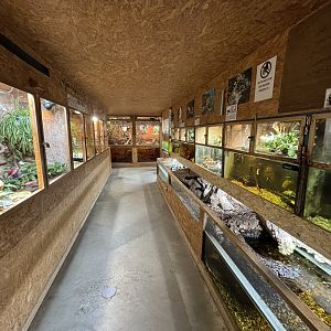 Dead End at Schildkröten und Reptilien Zoo Neu-Ulm