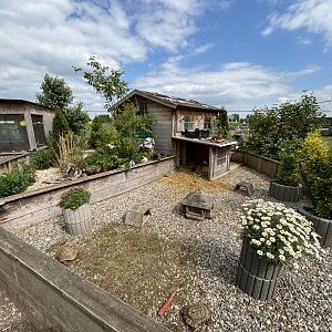 Outdoor Tortoise Enclosures and Budgie Aviary at Schildkröten und Reptilien Zoo Neu-Ulm