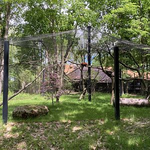 Red Panda Exhibit (New in 2023)