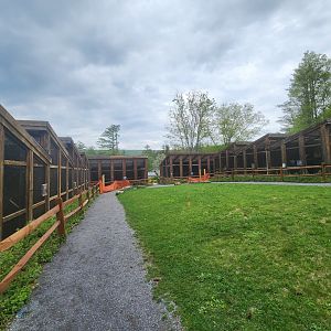 Shaver's Creek Environmental Center (PA) - Aviary enclosures