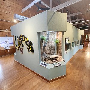 Shaver's Creek Environmental Center (PA) - Reptile house