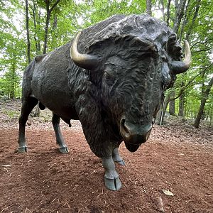 Bison Statue
