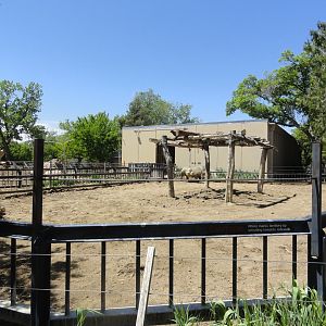 Eastern Black Rhino Exhibit 1