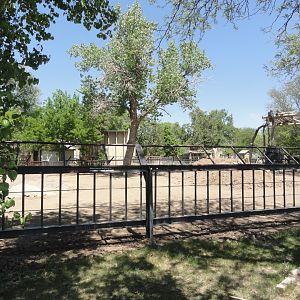 Eastern Black Rhino Exhibit 2