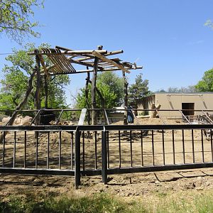 Eastern Black Rhino Exhibit 2
