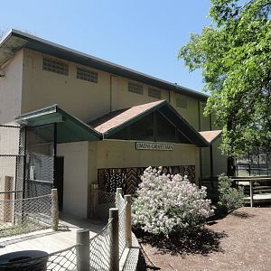 Owens Giraffe Building