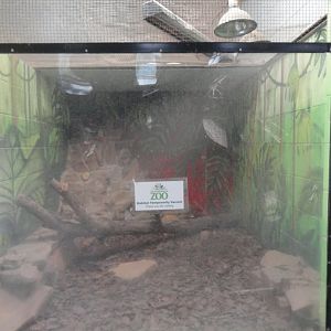 Empty Exhibit in Aviary Building