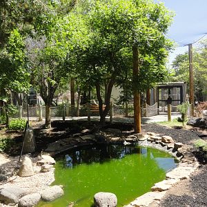 Walkthrough Aviary