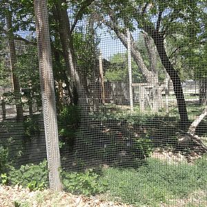 Empty Exhibit Adjacent to Walkthrough Aviary