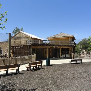 Primate Forest - Lemurs! Building