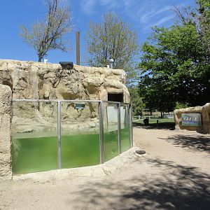 Kansas Waters Area - North American River Otter Exhibit