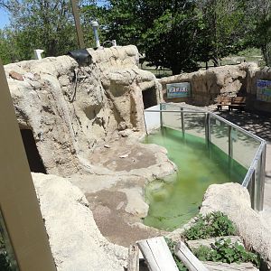 North American River Otter Exhibit