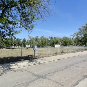Przewalski's Horse Exhibit