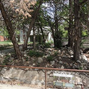 Future Site of Critter Corner - Ambassador Animal Meet Spot