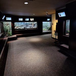 Left Side Back Hall (Native herps)