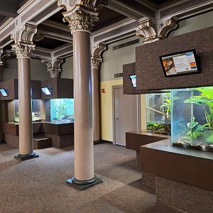 Herpetarium left side wall