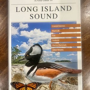 A Field Guide to Long Island Sound