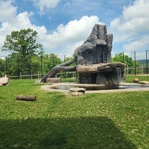 Lake Tobias Wildlife Park - Lion enclosure