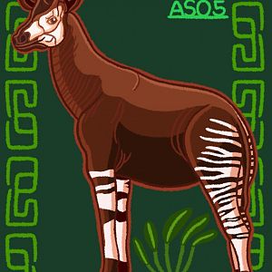Okapi
