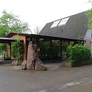 Giraffe House; squirrel monkey indoor enclosure