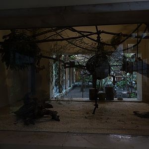 Giraffe House; squirrel monkey enclosure