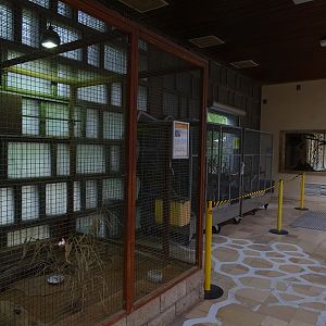 Giraffe House; Striped weasel indoor enclosures