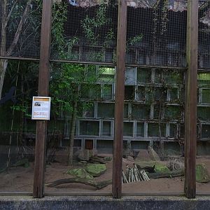 Giraffe House; Striped weasel outdoor enclosure