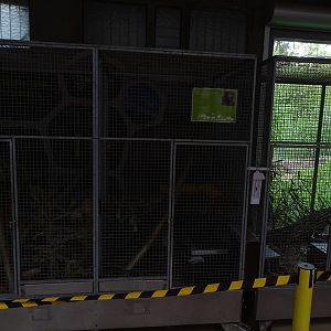 Giraffe House; striped weasel cages