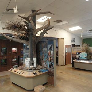 Inside Entrance Building