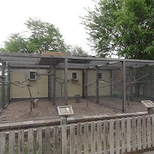 Parrot/Cockatoo Aviaries