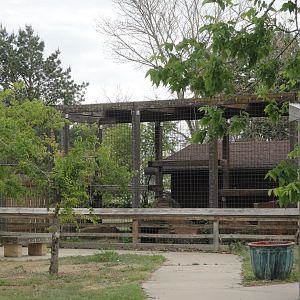 Clouded Leopard Exhibit
