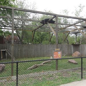 Red Legged Seriema Exhibit