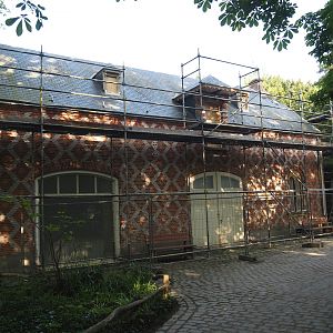 Renovation of late 19th century stable and carriage house building, now off-show animal building, 2024-05-10