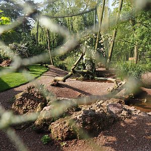 Redone Australian waterfront aviary, 2024-05-10