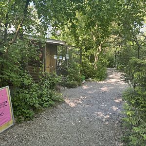 Entrance path to the park