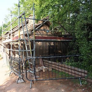Renovation of former wombat/echidna house, 2024-05-10