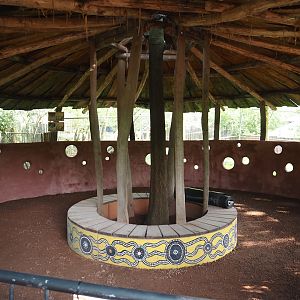 Renovation of Emu/Kangaroo/Wallaby viewing area, 2024-05-10