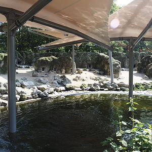 South American aviary - Humboldt penguin exhibit with new permanent shade structures,, 2024-05-10