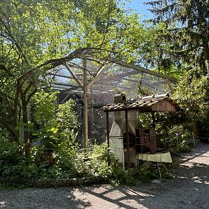 Bald Eagle Aviary and Pile of Bird (and bat) Houses