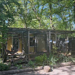 Row of Parrot Enclosures
