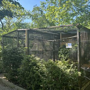 Parrot Enclosures