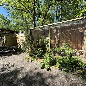 Owl Enclosure and Parrot Enclosure