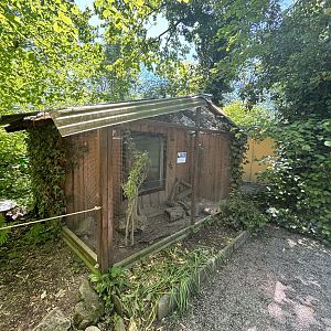 Japanese Quail Enclosure